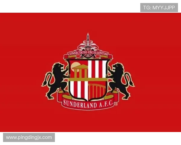 桑德兰足球俱乐部的历史与未来发展分析及其在英格兰足球的地位 桑德兰足球俱乐部的历史与未来发展分析及其在英格兰足球的地位